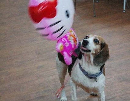 1380944608-3567971780