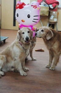 1380944608-4021320138