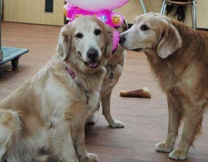 1380944608-4021320138