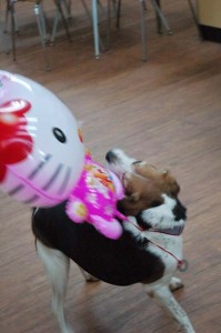 1380944608-965837800