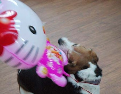 1380944608-965837800