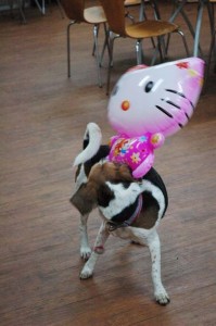 1380944609-1808009791