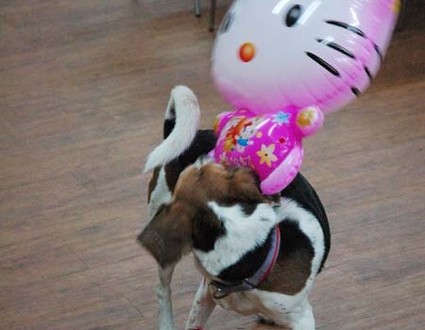 1380944609-1808009791