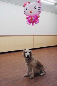 1380944610-1362113581