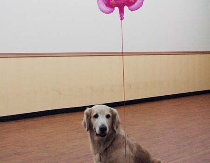 1380944610-1362113581