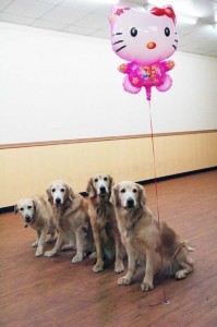 1380944610-2031910508