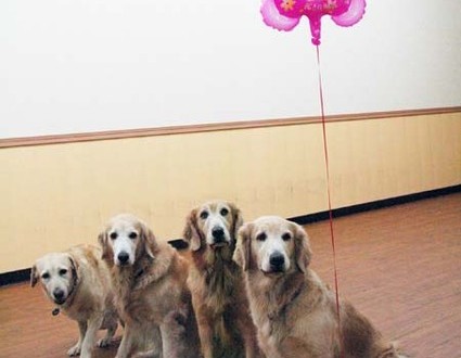 1380944610-2031910508