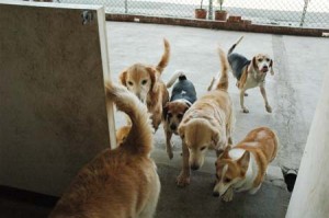 1380944628-2097902449