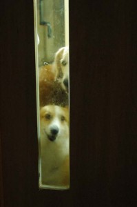 1380944629-1634867987