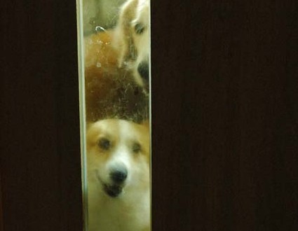 1380944629-1634867987