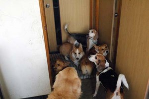 1380944629-3396708568