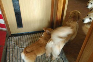 1380944630-3128119394