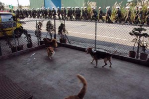 1380944631-3193293110