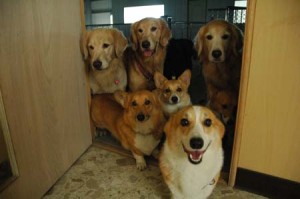 1380944632-3292400352