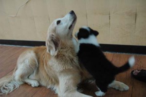 1380944640-1004966137