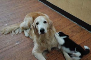 1380944640-2136116491