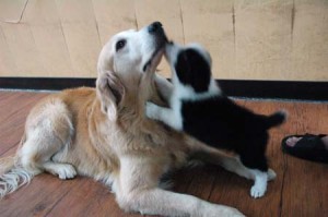 1380944641-1366830021