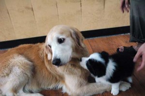 1380944642-2736002254