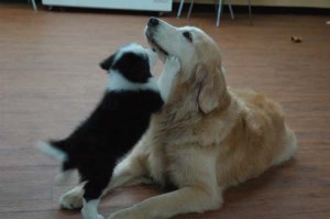 1380944642-2767790911