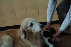 1380944642-750548931