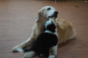 1380944643-1389111936