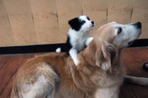 1380944643-2572363363