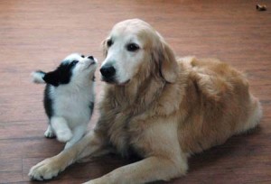 1380944644-1757101560