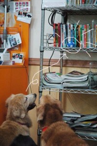 1380944644-1879952435