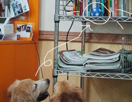 1380944644-1879952435