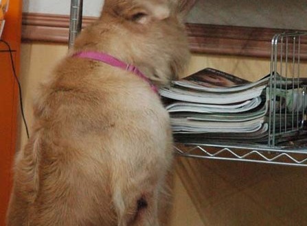 1380944645-2094973056