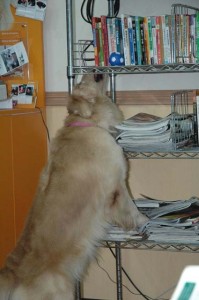 1380944646-4275831593