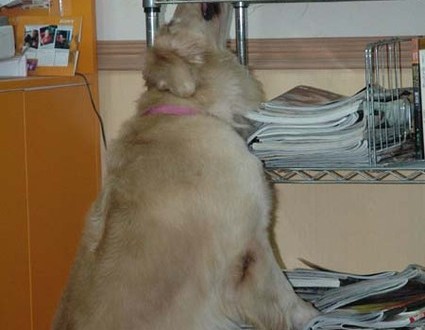 1380944646-4275831593