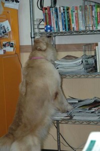 1380944646-866469340