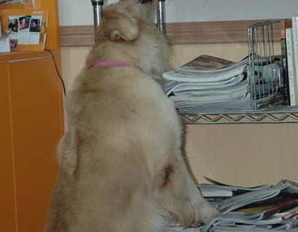 1380944646-866469340