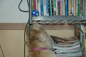 1380944647-248940469