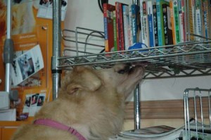 1380944647-2601748710