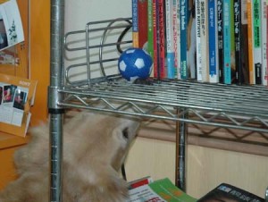 1380944647-3740074886