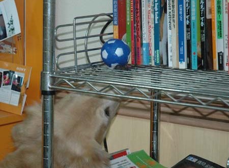 1380944647-3740074886