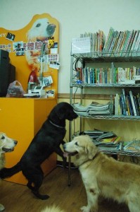 1380944648-184849039