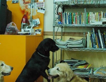 1380944648-184849039