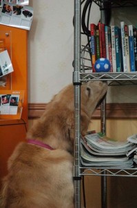 1380944649-1047053536