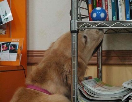 1380944649-1047053536