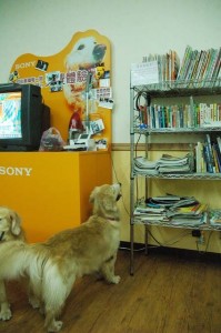 1380944649-1613146115