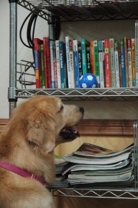 1380944650-4294639620