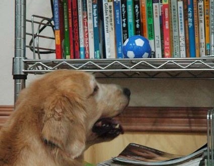 1380944650-4294639620