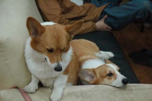 1380944652-111321904