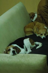 1380944652-1844329562