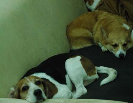 1380944652-1844329562