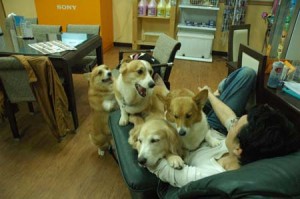 1380944653-1767482903