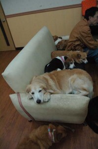 1380944653-2263155110